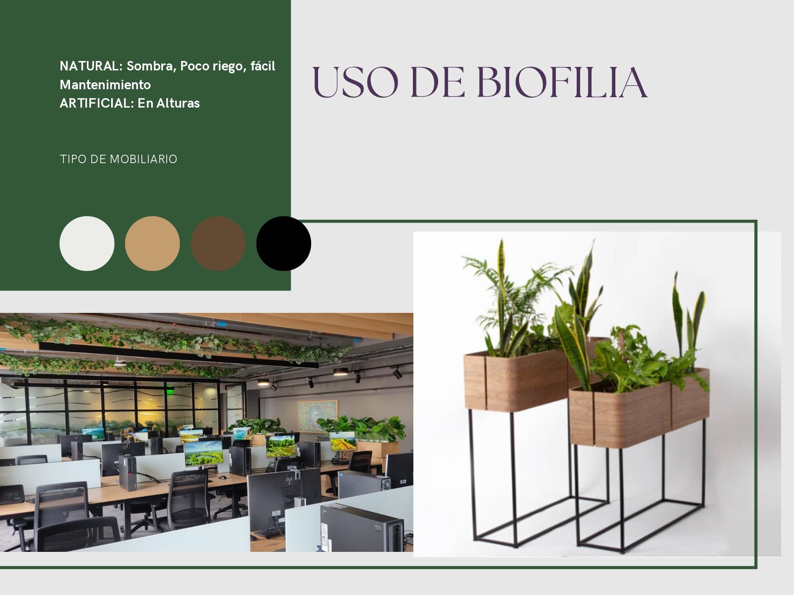 portafolio proyectos_page-0008